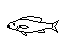 K5.gif