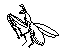 Large View