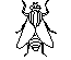 Large View