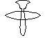 Large View
