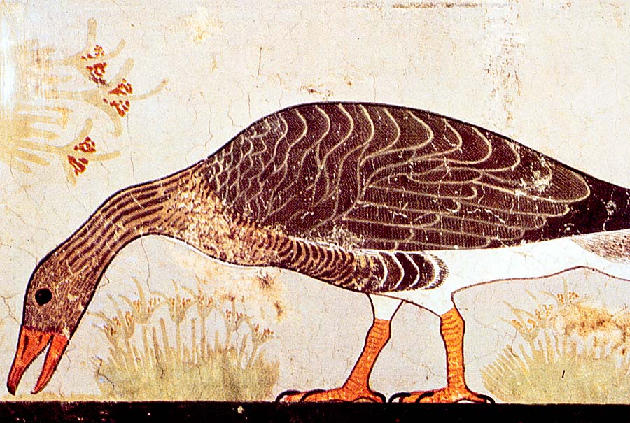 goose_fresco.jpg