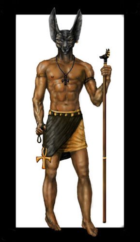 anubis2.jpg