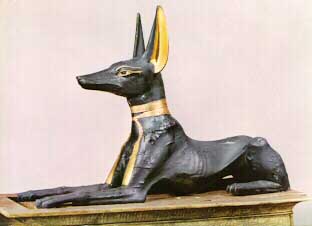 anubis_3.jpg