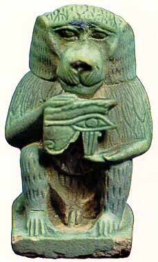 thot_baboon.jpg