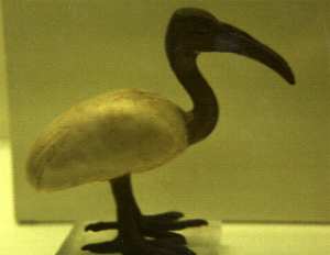 thoth_3.jpg