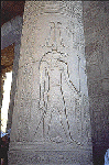 Large View