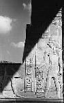 Large View
