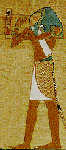 Large View