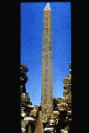 Large View