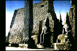 Large View