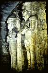 Large View