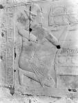 Large View