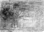 Large View