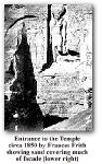 Large View