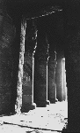 Large View
