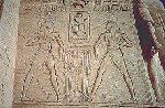 Large View