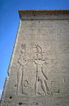 Large View
