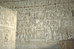 Large View