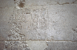 Large View