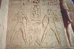 Large View