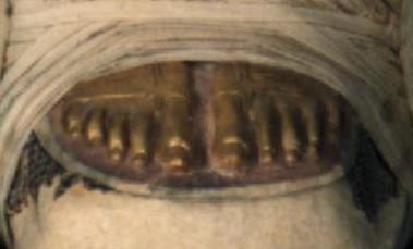 henfeet.jpg