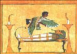 Large View