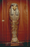 Large View