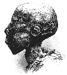 Large View