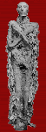 Large View