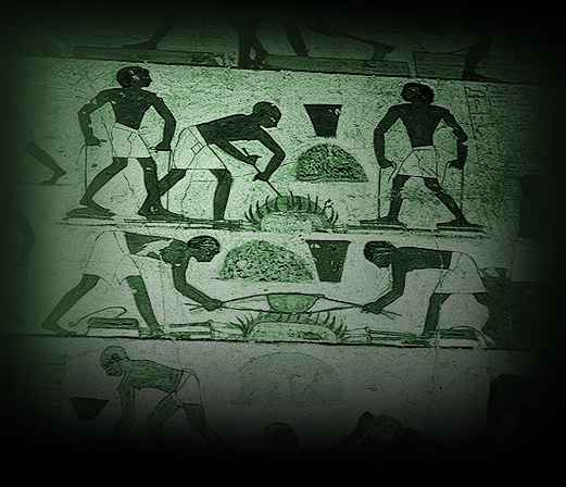 introim-1.jpg