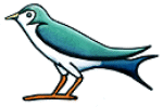 Large View