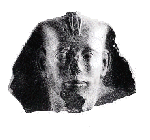 Large View