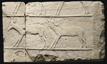 el_pyramid_gazelle.jpg