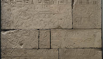 el_pyramid_hunt.jpg