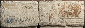 el_pyramid_image18.jpg