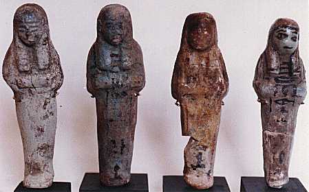 group1.jpg