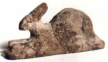 hare.jpg