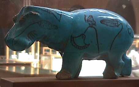 hippo.jpg