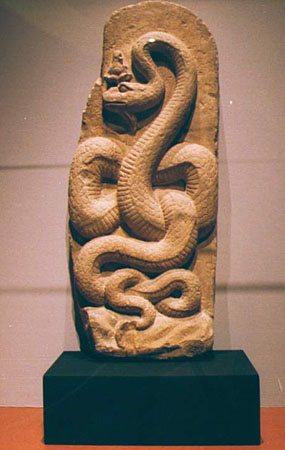 image435.jpg