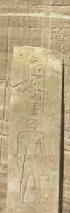 lhsplr.jpg