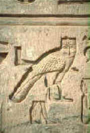 owlhiroglyph.jpg