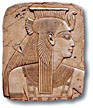 tal850_sml.jpg