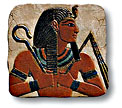 tal879p_sml.jpg