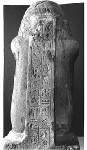 Large View