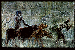Large View