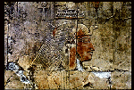 Large View