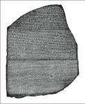 Large View