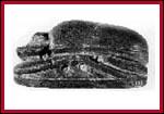 Large View