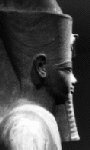Large View