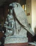 Large View